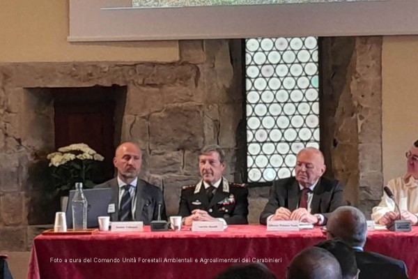 Sasso Fratino: un modello unico di conservazione della biodiversità
